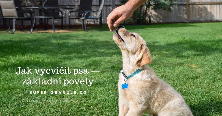 Psi učení základních povolání s výhodou