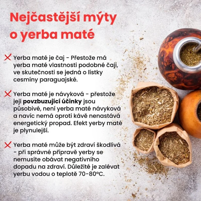 Infografika o běžných mýtech o yerba matě