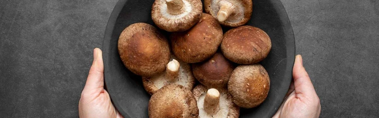 Čerstvé shiitake houby v černém misku