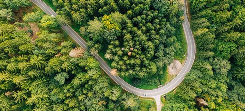 Zelený les s vinoucí se silnicí nahoře z dronu.