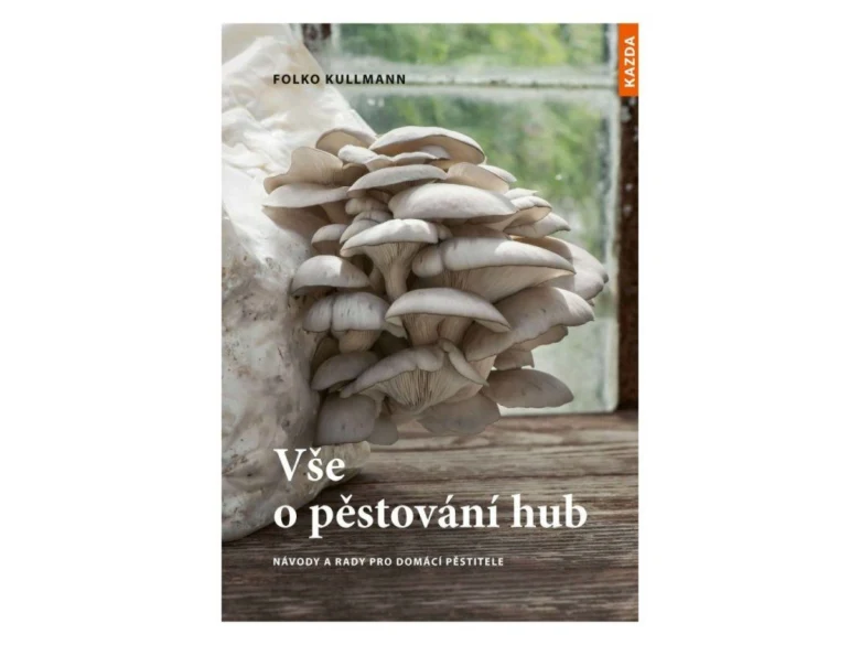 Skupina pěstovaných hub rostoucích z substrátu u okna.