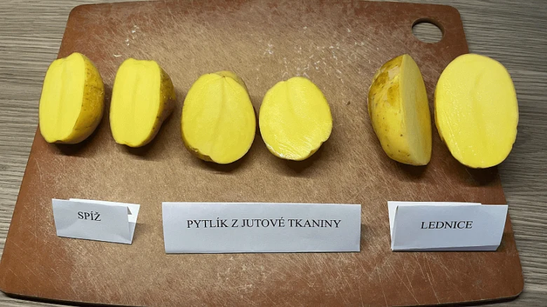 Syrové brambory skladované ve skříni pytliku a lednici.