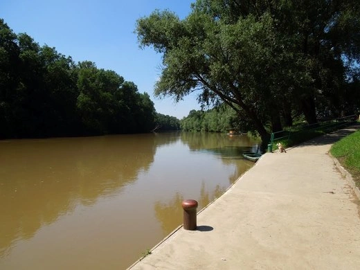 Řeka s břehem, stromy a chodník pod modrou oblohou.