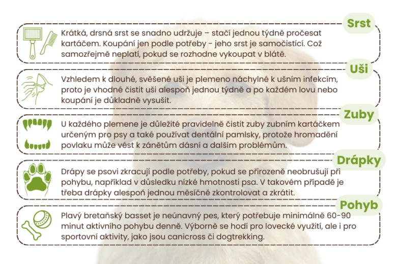 Infografika o péči o plavého bretaňského baseta.