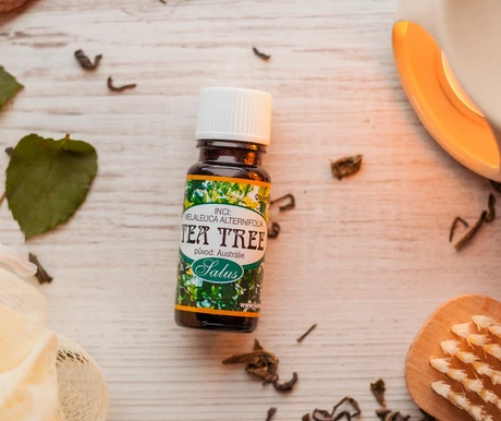 Květinový olej tea tree s listy na dřevěném povrchu.