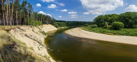 Řeka s písečnými břehy v lesním prostředí