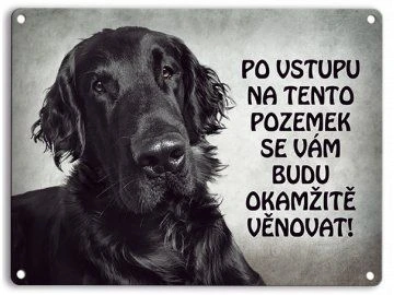 Portrét černého retrívra v černo-bílé fotografii.