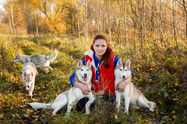 Žena sedí s huskymi v podzimním lese.