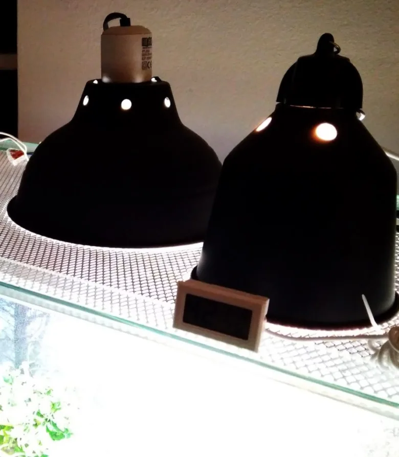 Dva horké lampy pro chameleony v akváriu s rostlinami