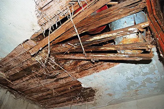 Poškozený strop s dřevem zničeným hmyzem nebo plísní.