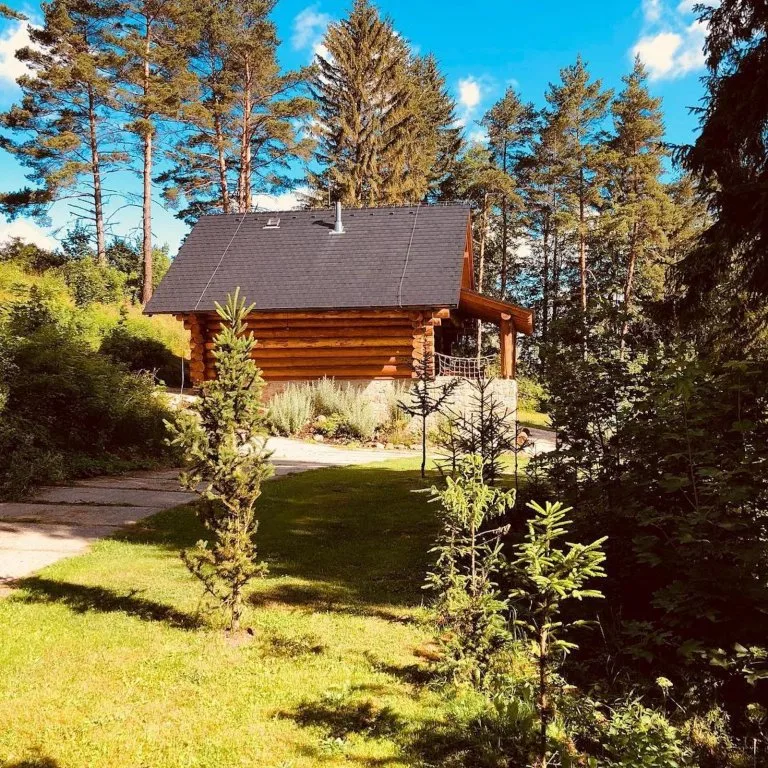 Kanadský srub uprostřed lesa s trávníkem a stromy.