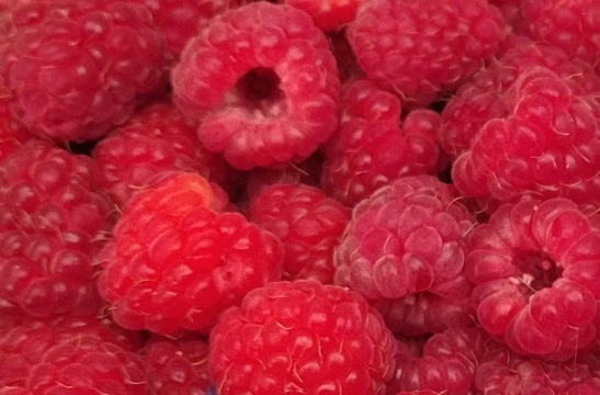 Čerstvé červené maliny v hustém hromadě.